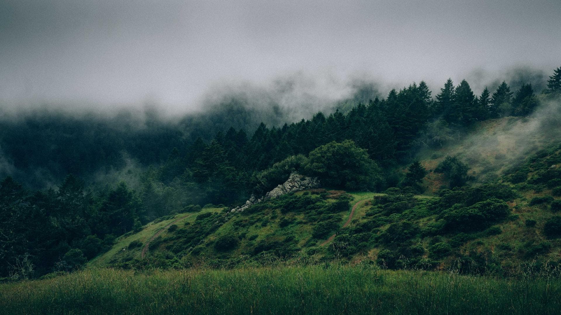 Cinematic abstract